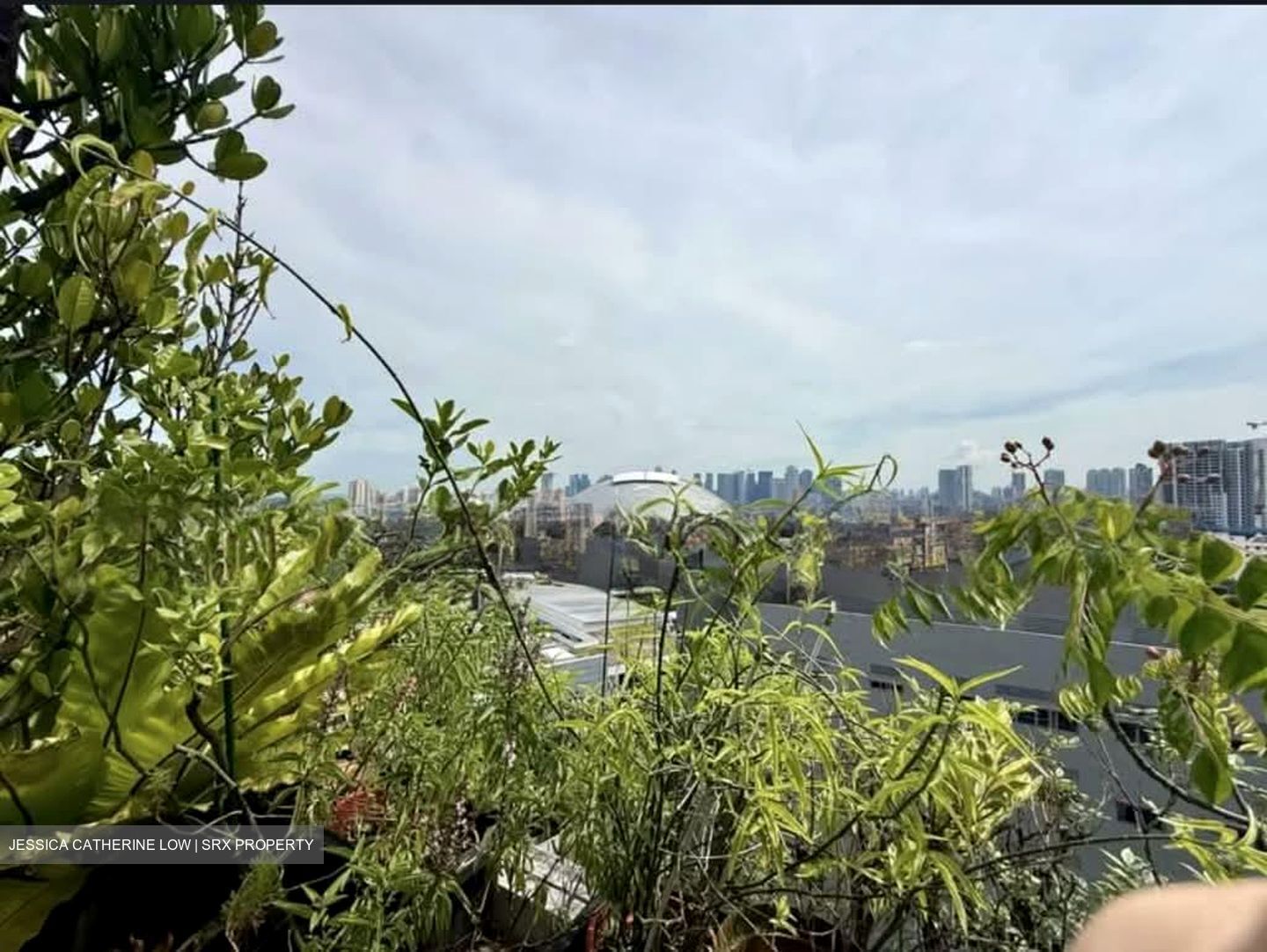 Nicole Green (D14), Apartment #626954781